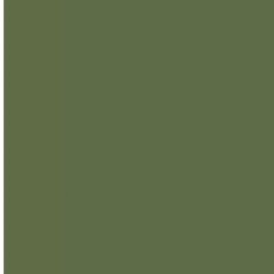Wonderful Wolford VELVET DE LUXE 66 Tights HUNTER GREEN Small S